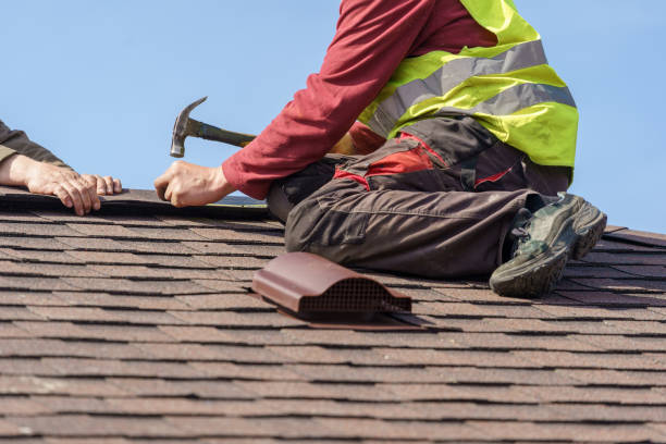 Best Roof Gutter Cleaning  in Mvell, AR